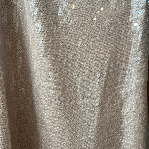 Sequin Dress - Picture 9 of 9